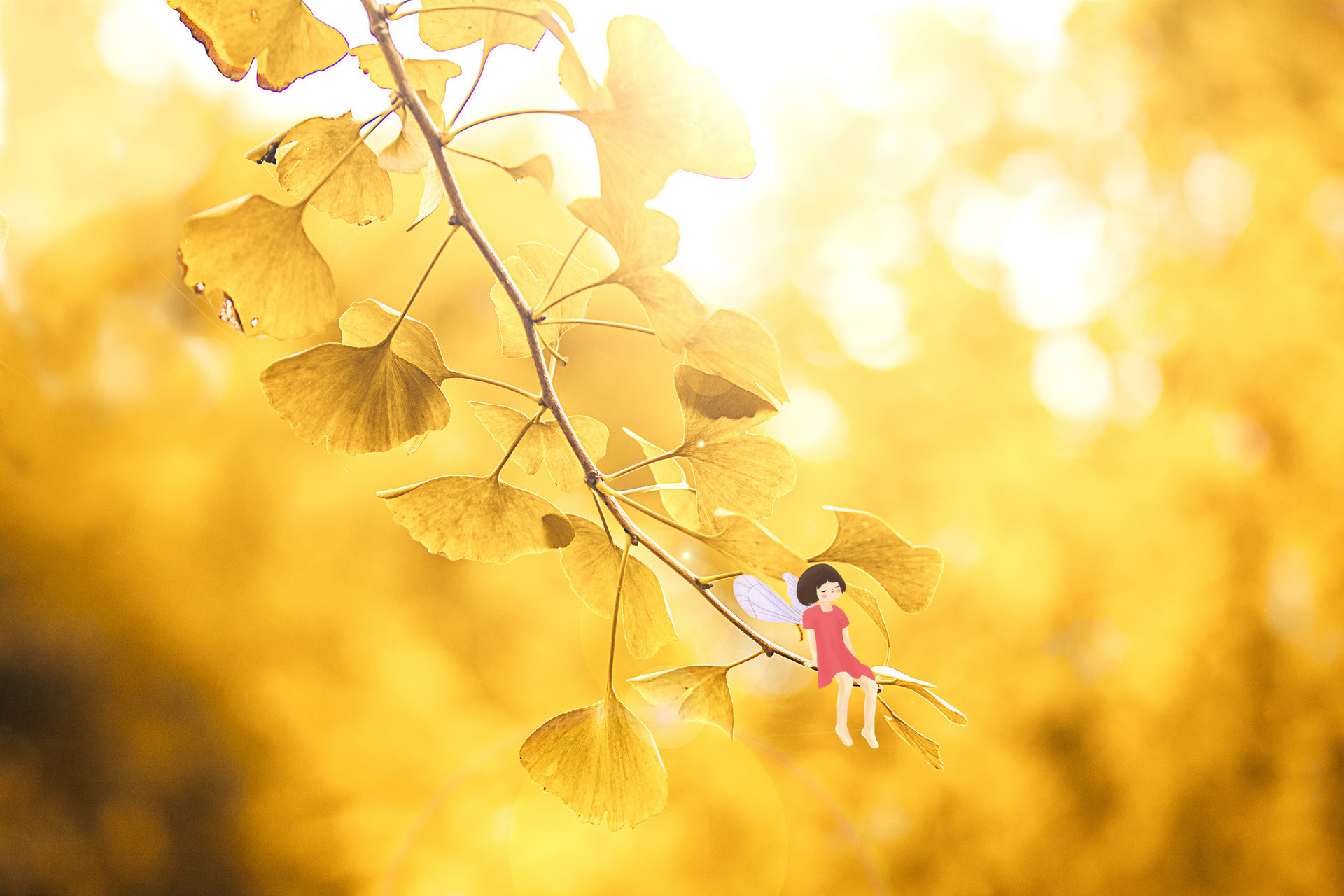 黄伟|“老婆,生孩子的是你,坐月子的也是你,费用AA制”“离婚”