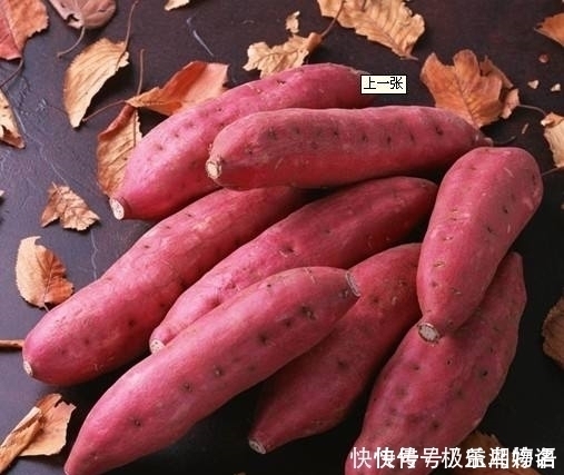立秋后,吃红薯好处多,但不要与一物共食,有很多人还不清楚