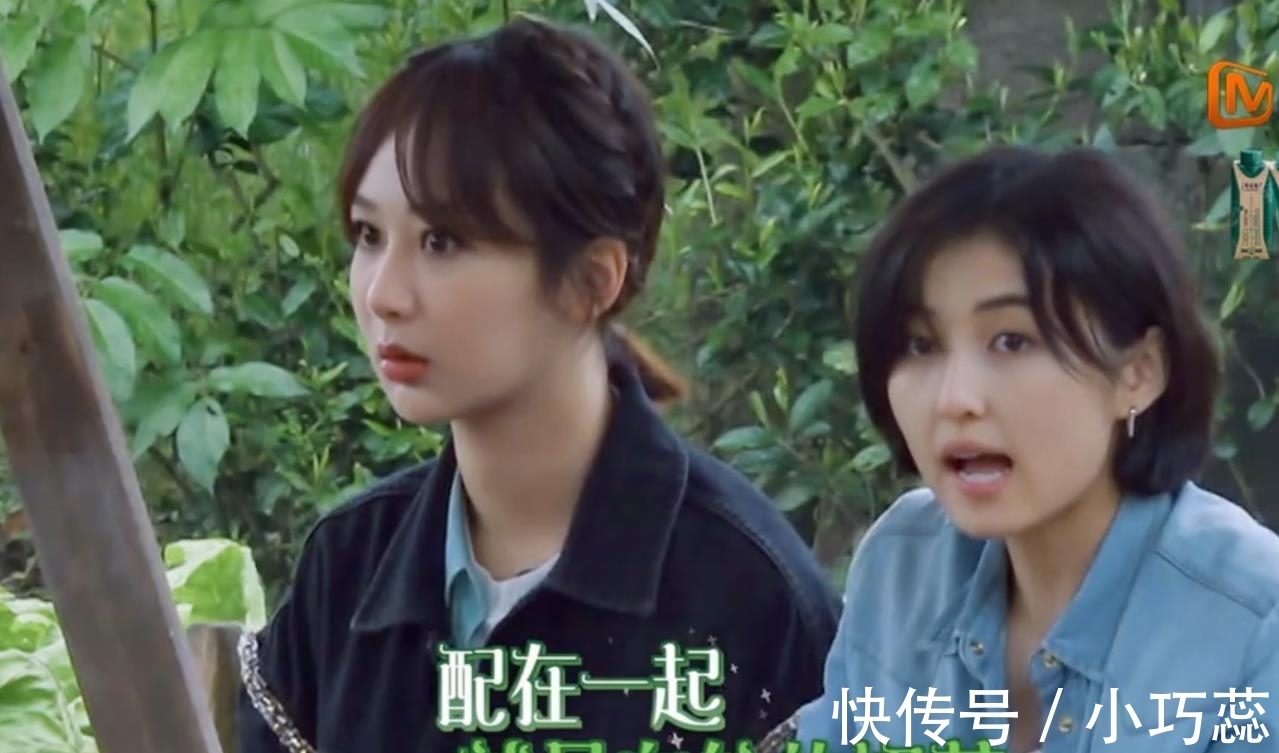 睡衣|杨紫,求你可别再上《向往的生活》了