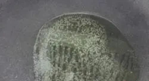  记忆力|这道菜、鲜嫩、爽口营养高，常吃提升记忆力，降糖、降脂身体好