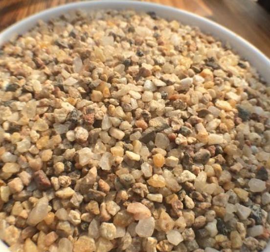 家中养君子兰，不用买土，3样“东西”一搭配，比买的土还好用