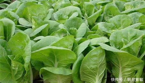 女性想要身體好，三種食物要多吃，活血祛瘀，潤腸通便，試試看