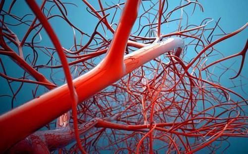 年龄段|长期走路有利于长寿吗？建议：65岁过后的老人，把这3件事做好