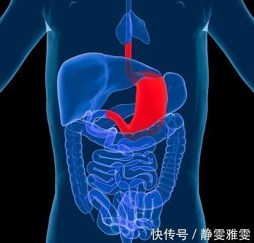 胃胀|早晨是养胃最佳时期,医生:这3种食物可以常吃,胃会慢慢变好