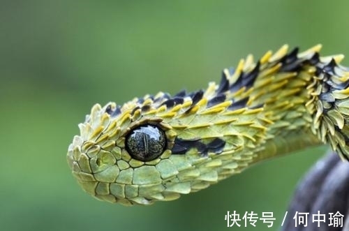 财运|7月22号起,生意兴隆,财运滚滚,喜事成双的3属相,有你吗?