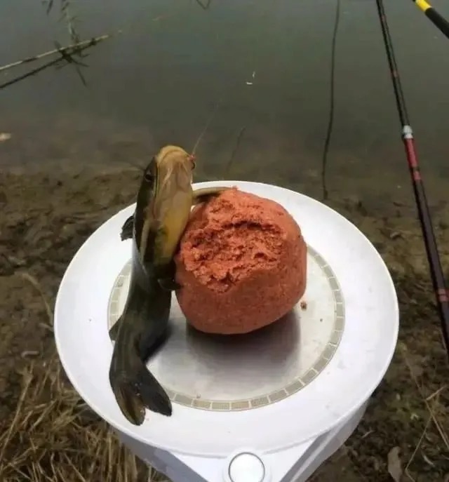 钓不到鱼是水里没鱼?这3个误区才是你十钓九空的关键,记牢了