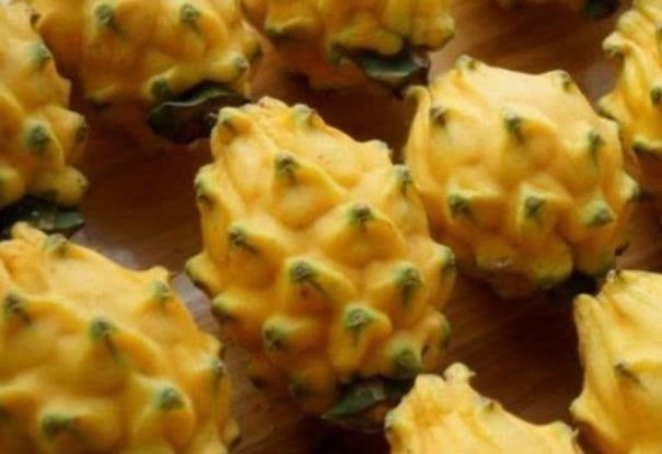 植物性|对身体极好的3种食物,补充营养、延缓衰老,早吃早受益!