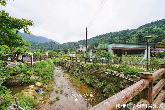 戴佩妮|到阳明山来看海芋，到阳明山来泡温泉，台北最出名的度假胜地