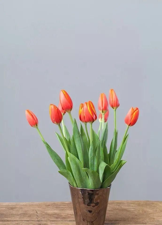 10款春节必备花材清单，去花店就买这些花！