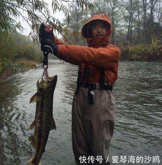 大马哈鱼|小伙在河中钓上一条大鱼高兴不已，拉倒岸上后所有人都吓蒙了！