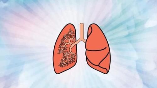 山药|肺结节“溶解剂”或被找到？并非山药和银耳，不妨吃点，对肺好