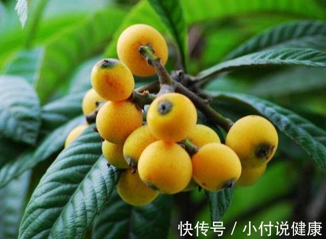 草莓|初春,养生“关键期”,吃四果,食五菜,排毒、不上火,少生病