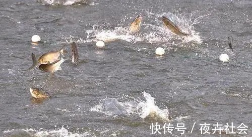 陌生水域找鱼的4个“独门绝技”,让你鱼口不停!钓鱼人一般都不想告诉别人!