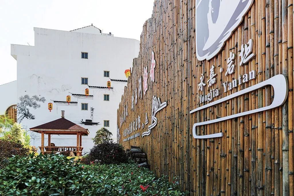 源头 咖啡、多肉、钩织...永嘉这个曾让人避之不及的地方成了“梦想家园”！