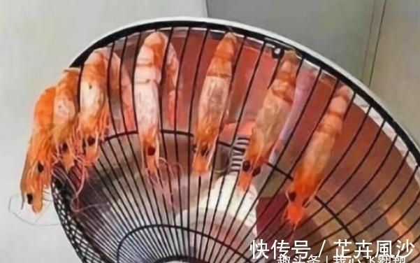 大学宿舍的“奇葩”做饭方式，电饭锅不算啥，班主任：人才辈出