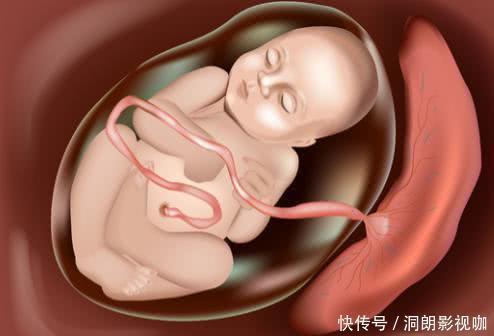 京妈|剖腹产为何要在孕38周而不是40周别看只差两周，差距不是一点点