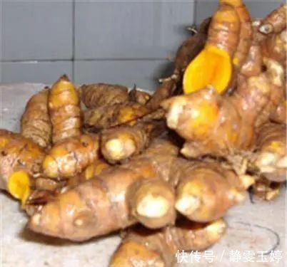 農(nóng)村山上一種“黃金”農(nóng)村人都不吃,城里人稀罕的很