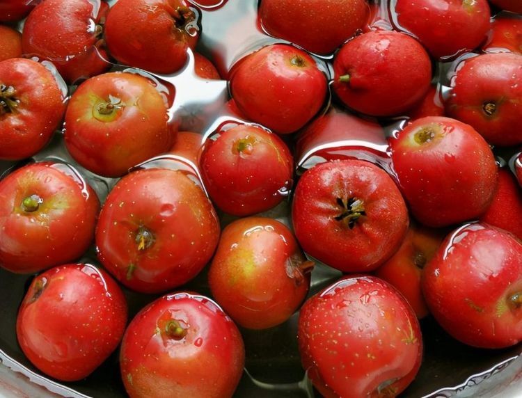  山楂果|山楂2元一斤，往锅里一倒做山楂卷，酸甜开胃无添加，薄又软