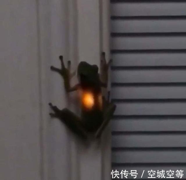 高尔夫球场#30张“活久未见”的照片:被闪电击中的木头,好像一副国画