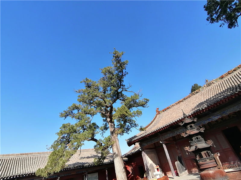 历史悠久广胜寺，美轮美奂飞虹塔，辛酸过往让人恨