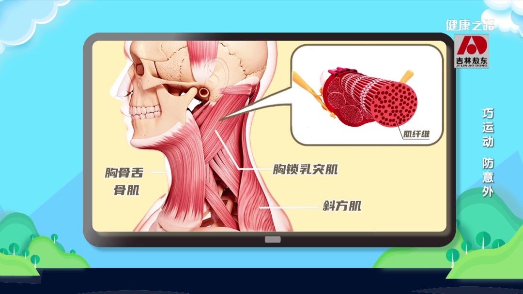 韧带|崴脚、闪腰、落枕……小意外可能引出大麻烦，可不要忽视哦