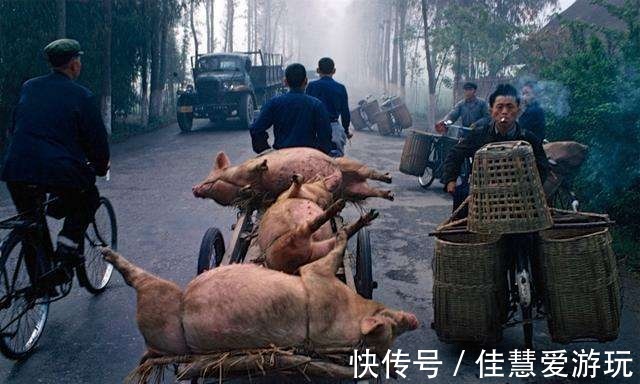 阿诗玛|和我在1980年代的时光路上走一走，那时不富有但快乐