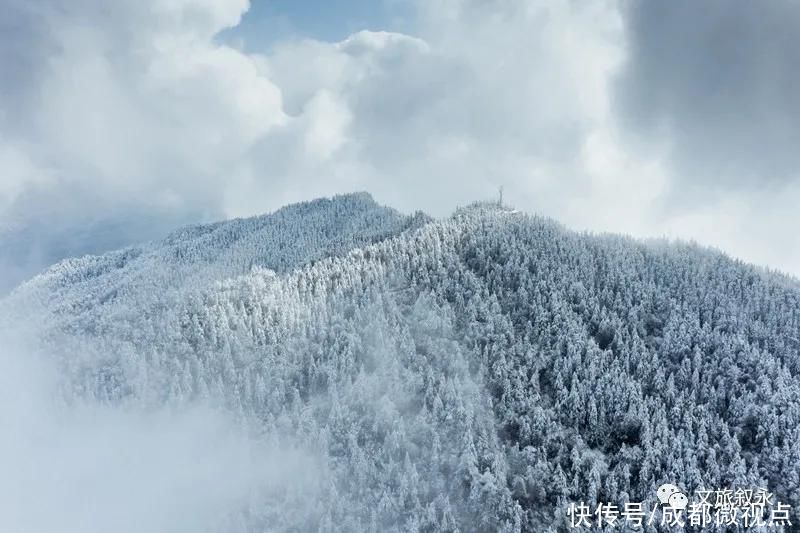 林海雪原|想看“林海雪原”，不用去东北，叙永就有