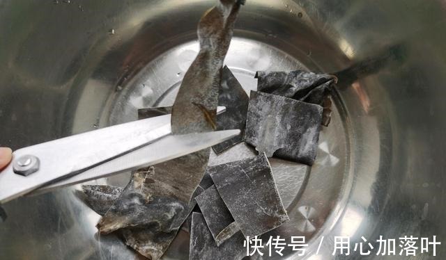 泡发海带时，切记不可只用清水，大厨教你一招，泡发快速还干净！