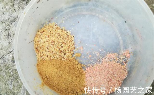 饵料|秋天是钓大鱼的好季节，守钓大鱼，用什么味型的饵料最广谱？