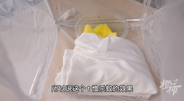 t恤|网红防蚊T恤,是智商税吗?