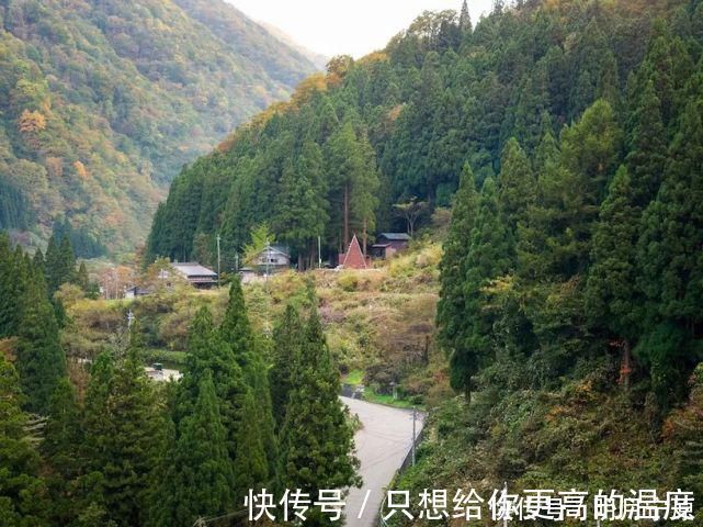 美宅|中产阶级最爱的3套山林美宅,终于知道有钱人为什么喜欢乡村了!