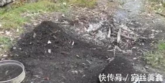 香烟|药片、黄豆养花全需下成本，不如用这2样灰，一分钱不花又实用