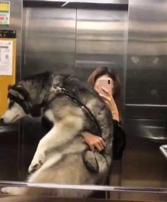 癌症|“一个人要是同时得了艾滋病和癌症，是不是就能无敌”哈哈哈哈神奇的脑洞