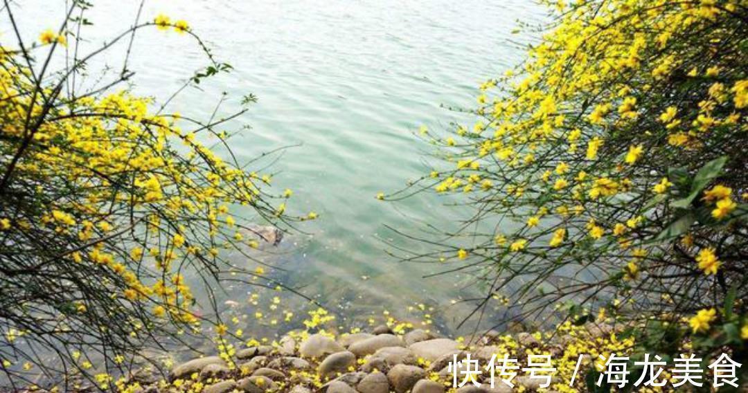 早春野望!王勃最美的一首诗,从开篇到结尾句句惊艳,美得犹如一幅山水画!