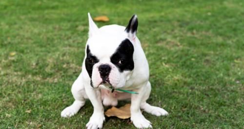 排便|“每天排便多”也叫便秘？没错，4种情况要重视，尤其这一类人