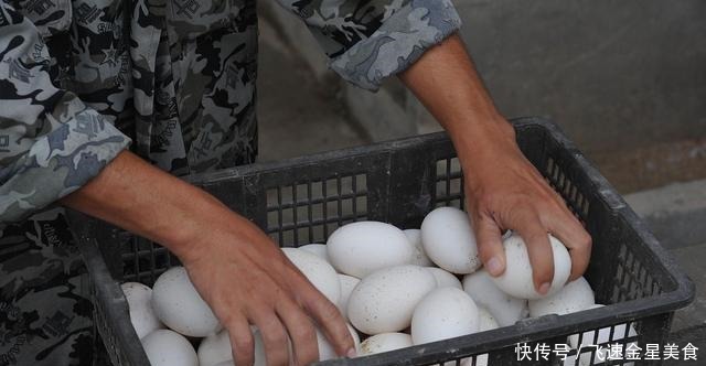  鸭蛋和鸭蛋通常被许多人吃，为什么很少吃鹅蛋答案很简单