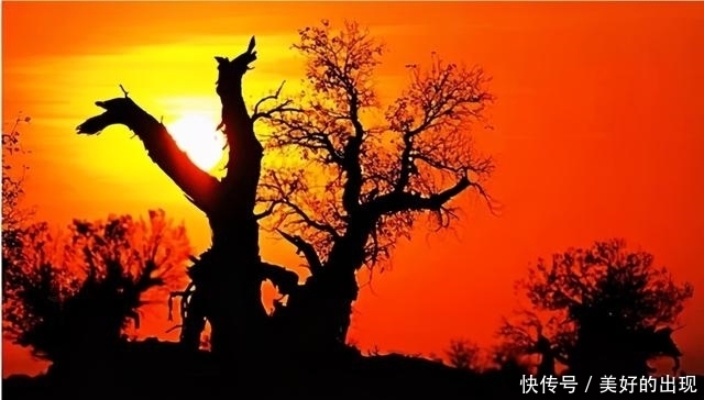 风沙漫漫何所惧,绣垄千顷梦成真