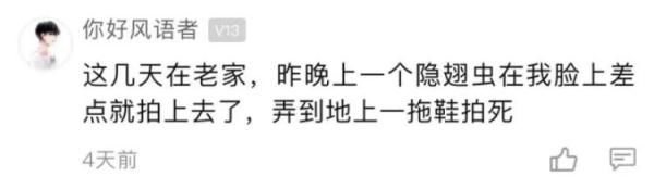 隐翅虫皮炎|女子清晨被痛醒，一照镜子吓坏了！睡觉千万别这么做……