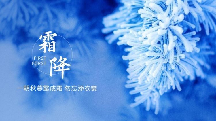 冬瓜|霜降过后，别忘记给家人做这几款汤，应季而食身体更棒