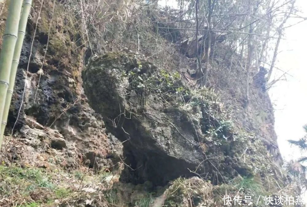 养在深闺的风景文化名山——菖蒲天云山