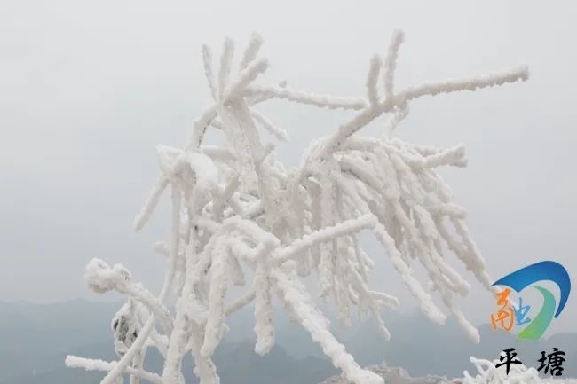 平塘雾凇美如画|图集 | 平塘县