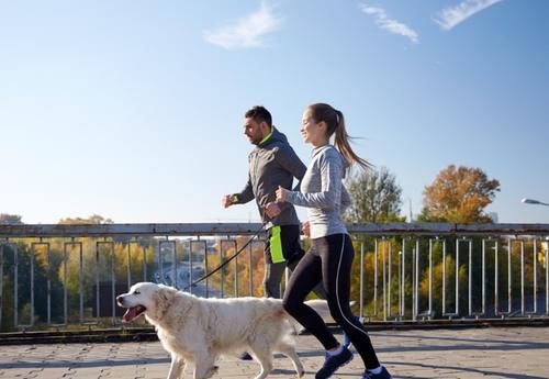 强身健体|跑完步后两个环节,看似可有可无,实则比较重要,你知道吗?