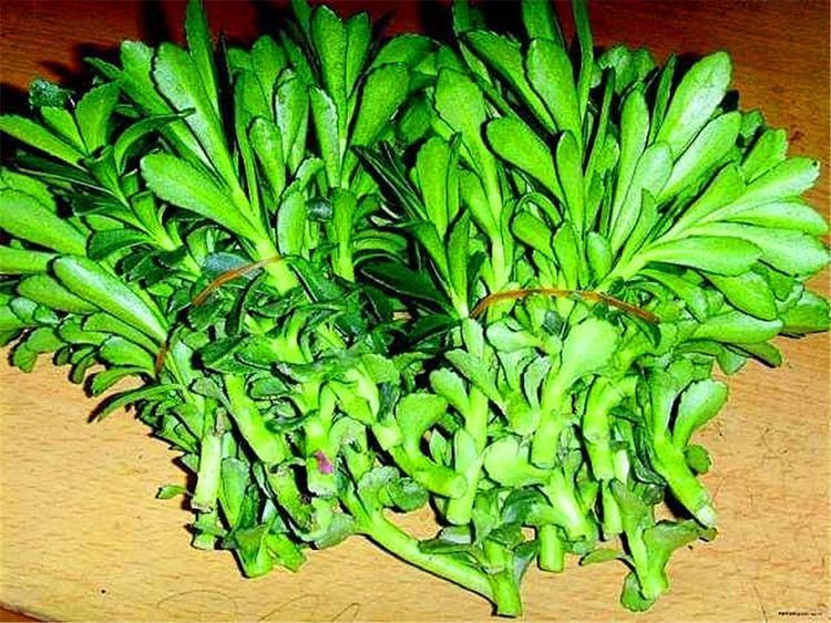 补气养血|立秋过后,女性适合常吃3种食物,减肥瘦身、补气养血,好处多多