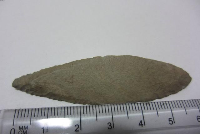 石片|学生意外捡到一块石片,专家花10块买走,如今为何成为一级国宝