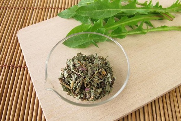 蒲公英|自己“晒干”的蒲公英,能用来养生当茶喝吗大部分都搞错了!