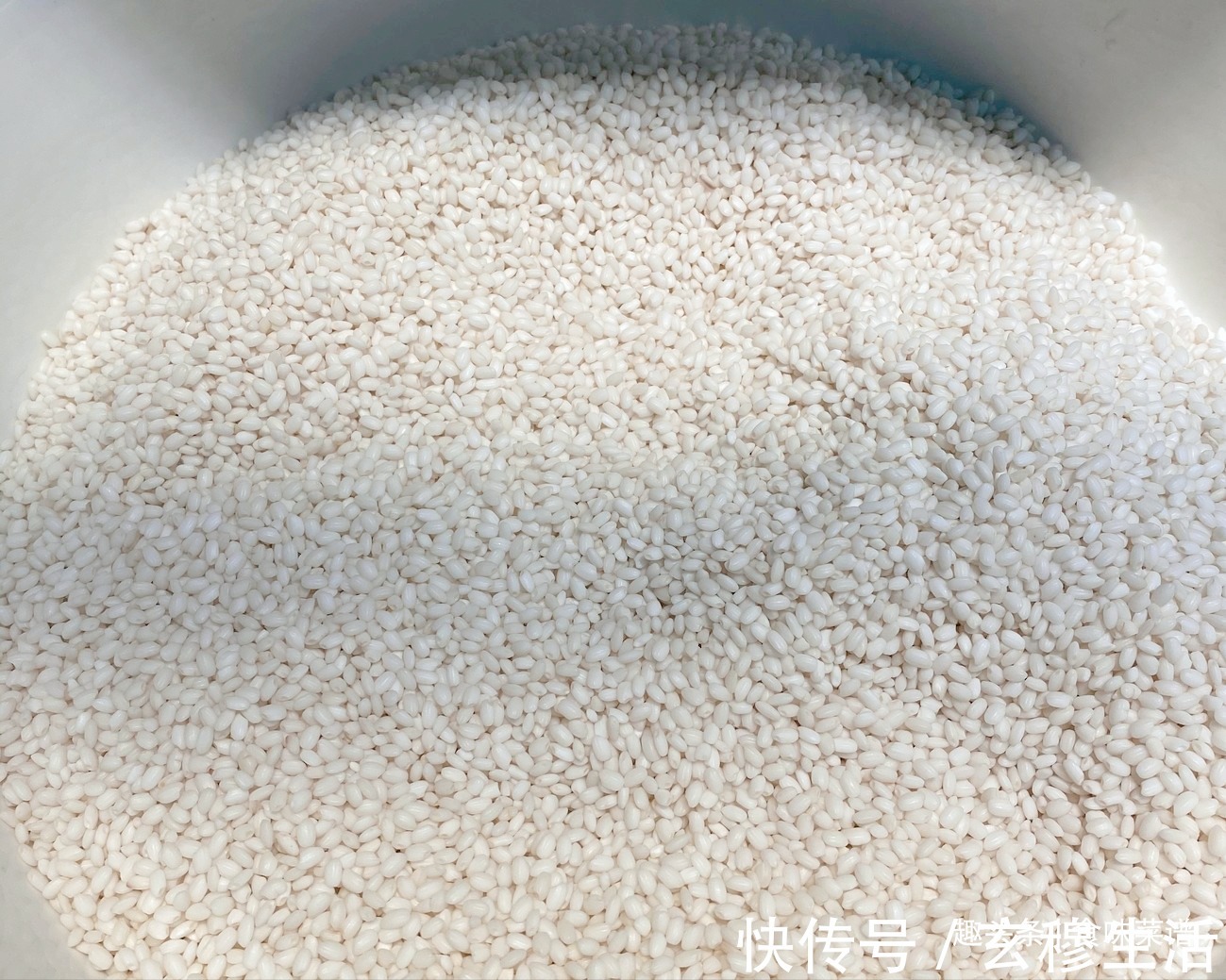 一个晚上|北方经典粽子红枣馅、红豆馅，香甜软糯，零失败教学，上桌秒光盘