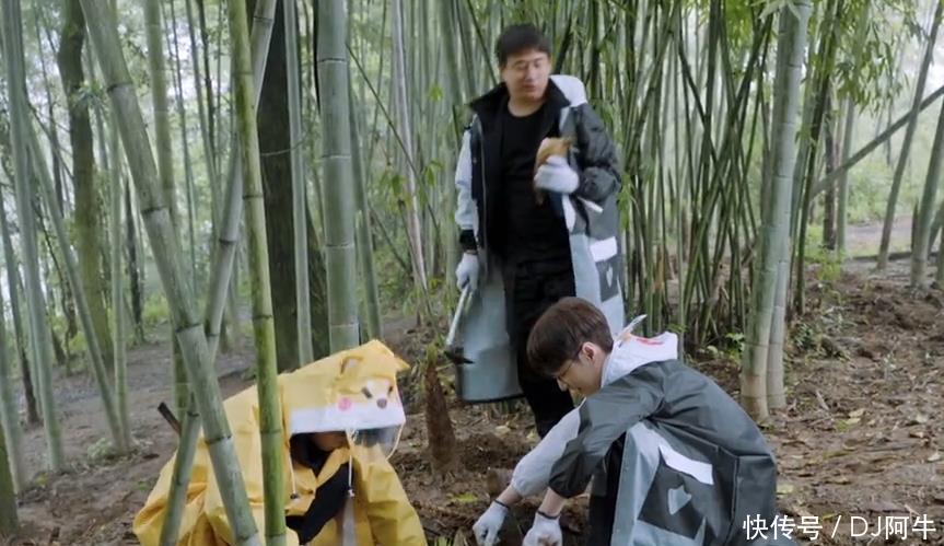 厨艺|《向往的生活5》黄磊厨艺滑铁卢彭昱畅选择太真实，亏大了