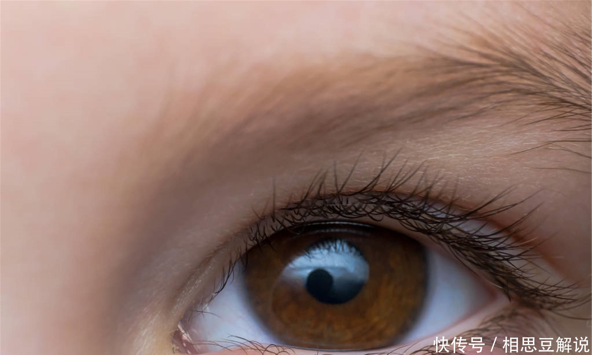 實用|脾胃不和百病生4個調理脾胃小方法,簡單實用,值得收藏