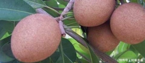 女性常吃此物 可延缓皱纹生长 早吃早好