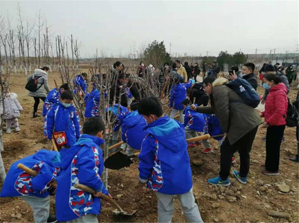 走进三涧溪村、种下小树苗，雏鹰小队研学活动丰富多彩